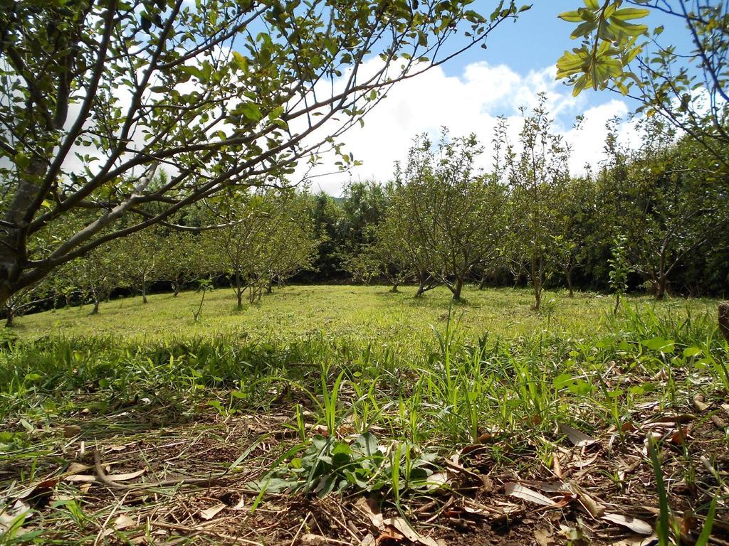 Quinta Rico Villa Quatro Ribeiras Dış mekan fotoğraf